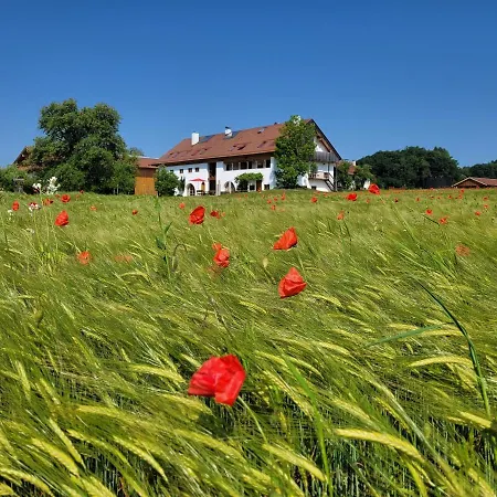 Hagerhof *